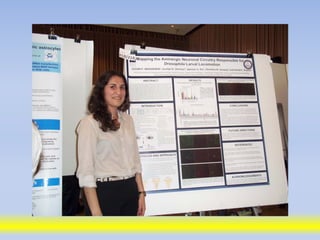 Science poster day 2013