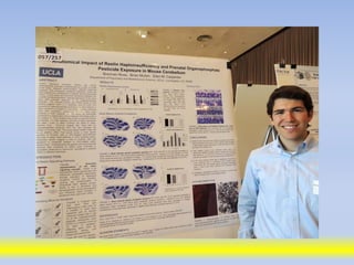 Science poster day 2013