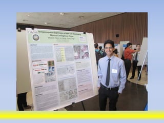 Science poster day 2013