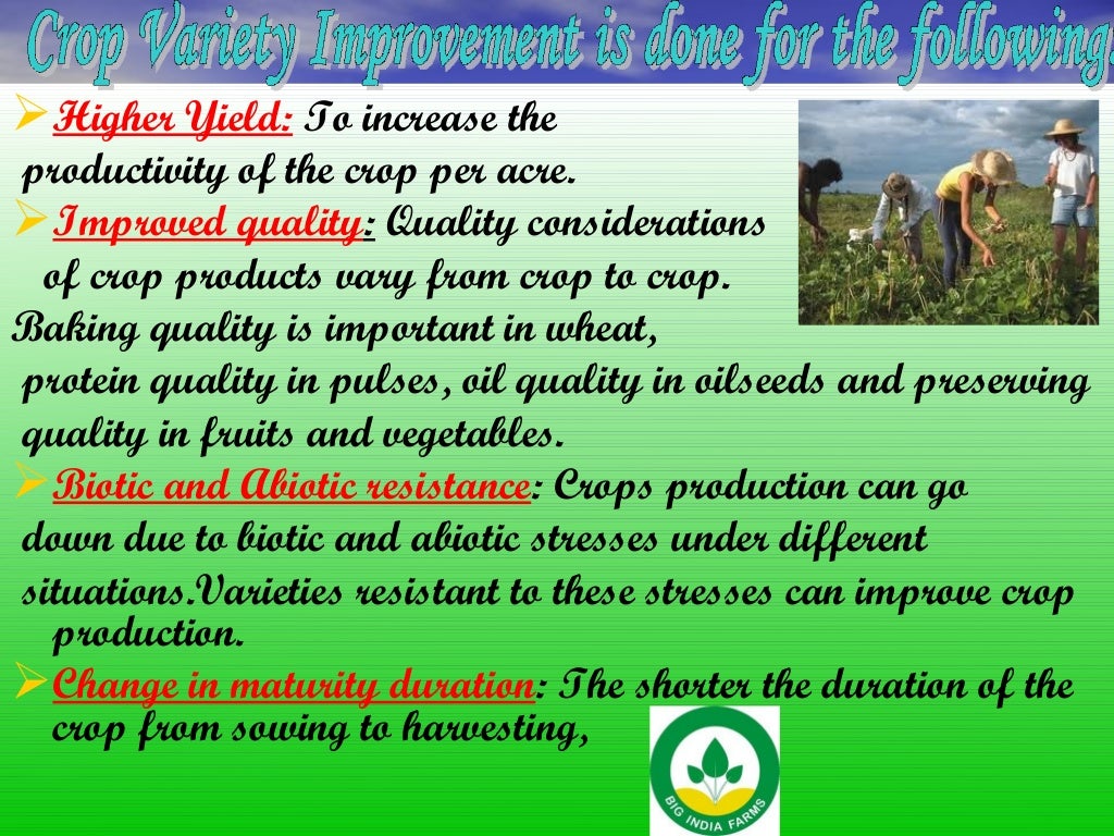 Crop variety improvement