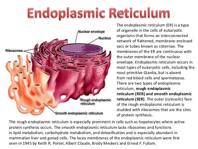 Cell Organelles ppt