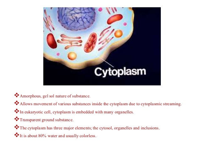 Cell Organelles ppt