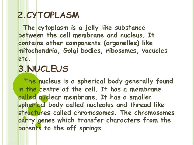 Science ppt