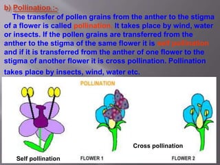 How do organisms reproduce | PPTX