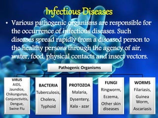 Infectious Diseases
• Various pathogenic organisms are responsible for
the occurrence of infectious diseases. Such
diseases spread rapidly from a diseased person to
the healthy persons through the agency of air,
water, food, physical contacts and insect vectors.
Pathogenic Organisms
VIRUS
AIDS,
Jaundice,
Chikungunya,
Conjunctivitis,
Dengue,
Swine Flu
BACTERIA
Tuberculosis,
Cholera,
Typhoid
PROTOZOA
Malaria,
Dysentery,
Kala - azar
FUNGI
Ringworm,
Eczema,
Other skin
diseases
WORMS
Filariasis,
Guinea
Worm,
Ascariasis
 