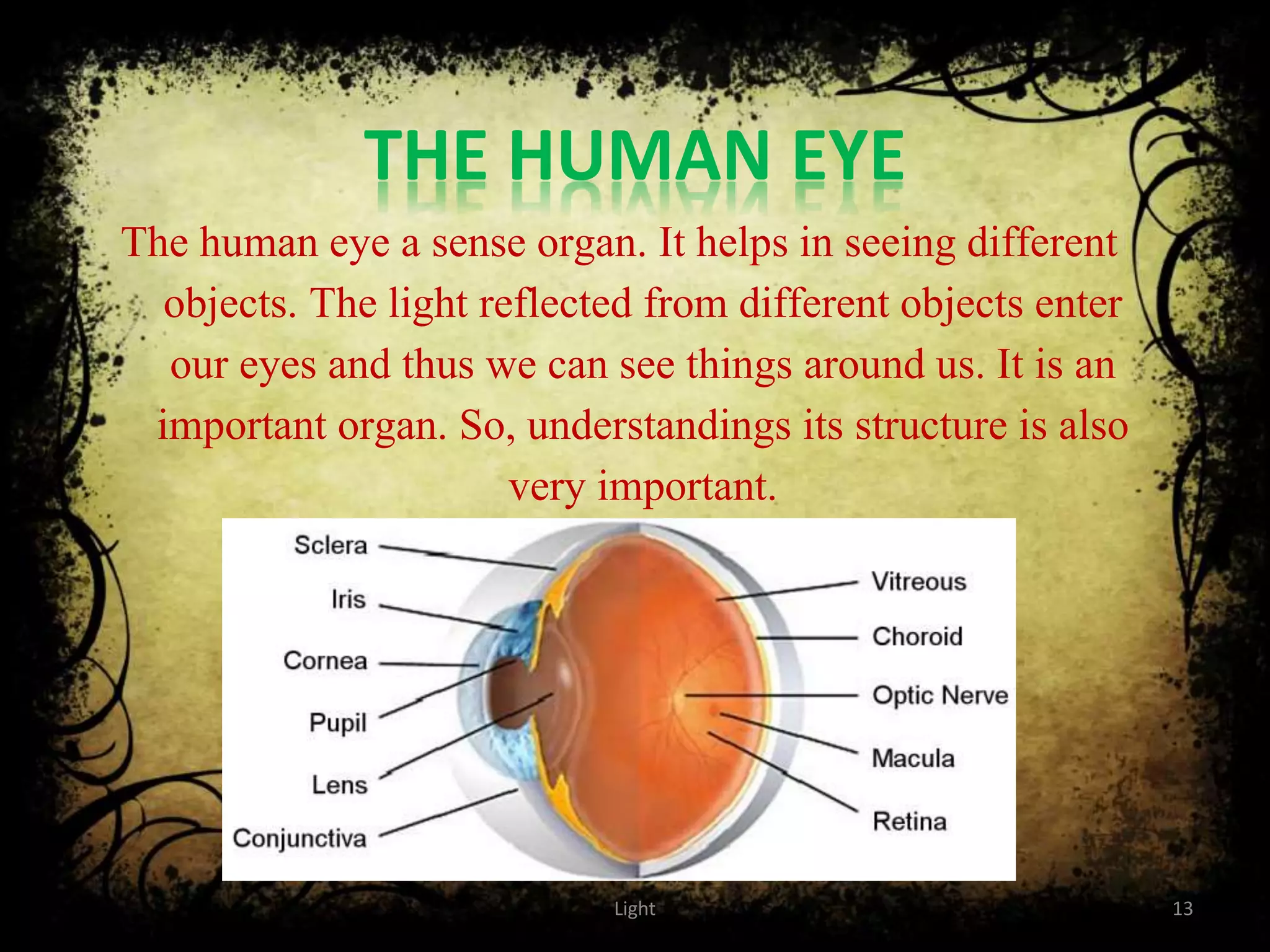 THE HUMAN EYE
The human eye a sense organ. It helps in seeing different
objects. The light reflected from different objects enter
our eyes and thus we can see things around us. It is an
important organ. So, understandings its structure is also
very important.
Light 13
 