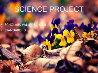SCIENCE PROJECT
• SCHOLARS VALLEY SCHOOL
• STANDARD : X
 