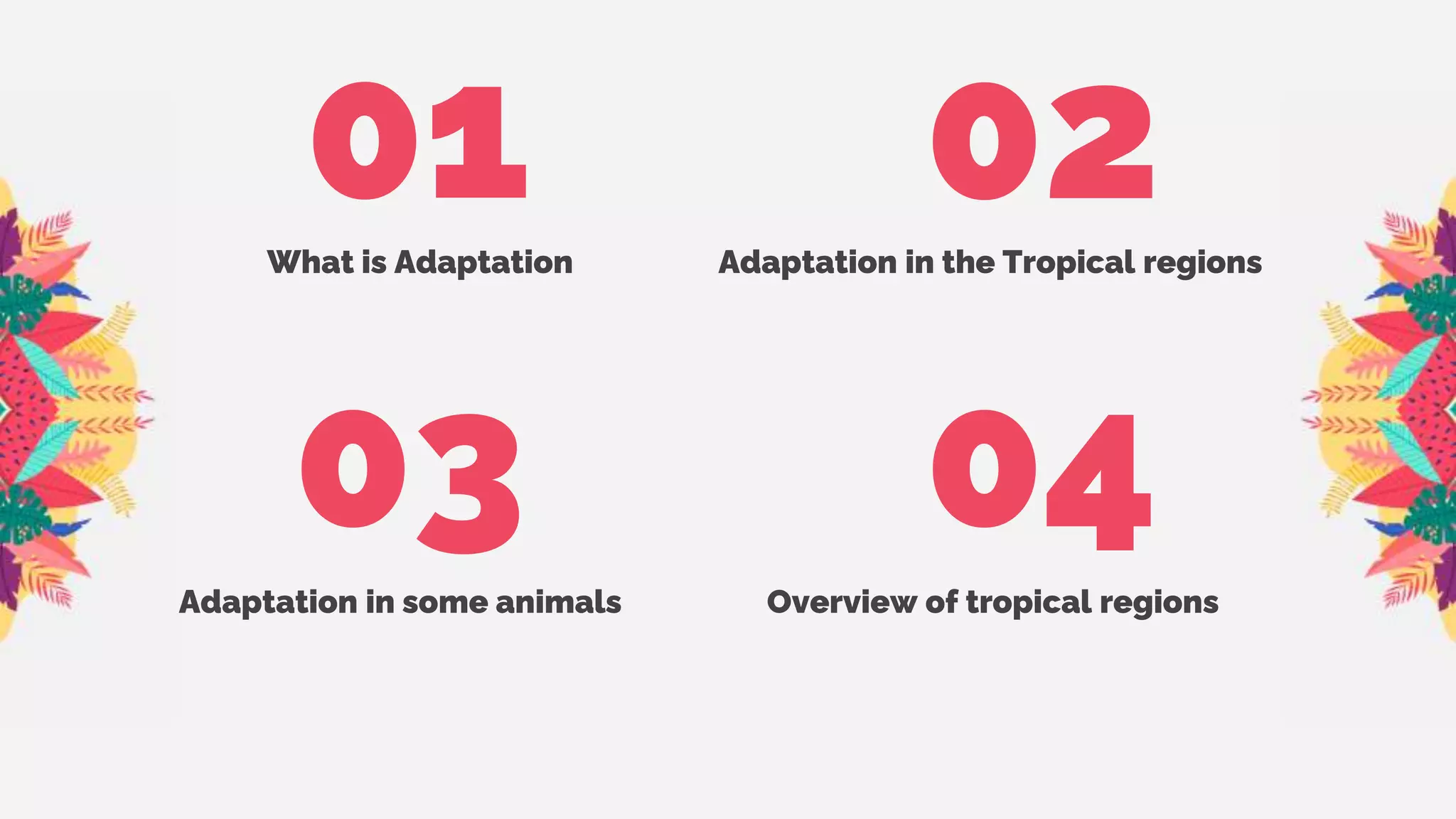 tropical region climate and adaptation in animals | PPTX