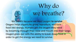 Why do
we breathe?
We breath because we need oxygen to survive.
Oxygen helps organisms grow, reproduce, and turn
food into energy. Humans get the oxygen they need
by breathing through their nose and mouth into their lungs.
Oxygen gives our cells the ability to break down food in
order to get the energy we need to survive.
 