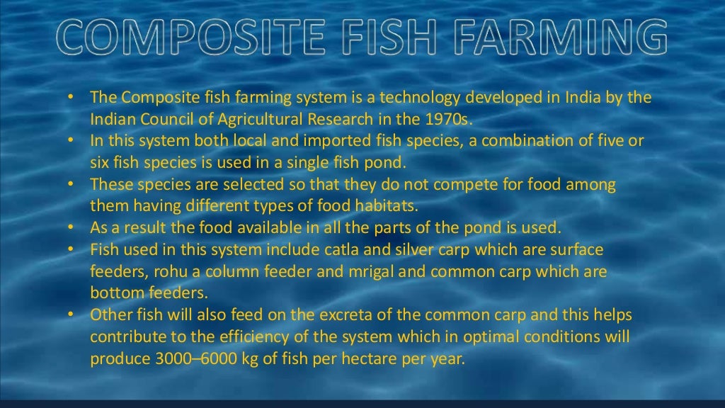 FISH PRODUCTION