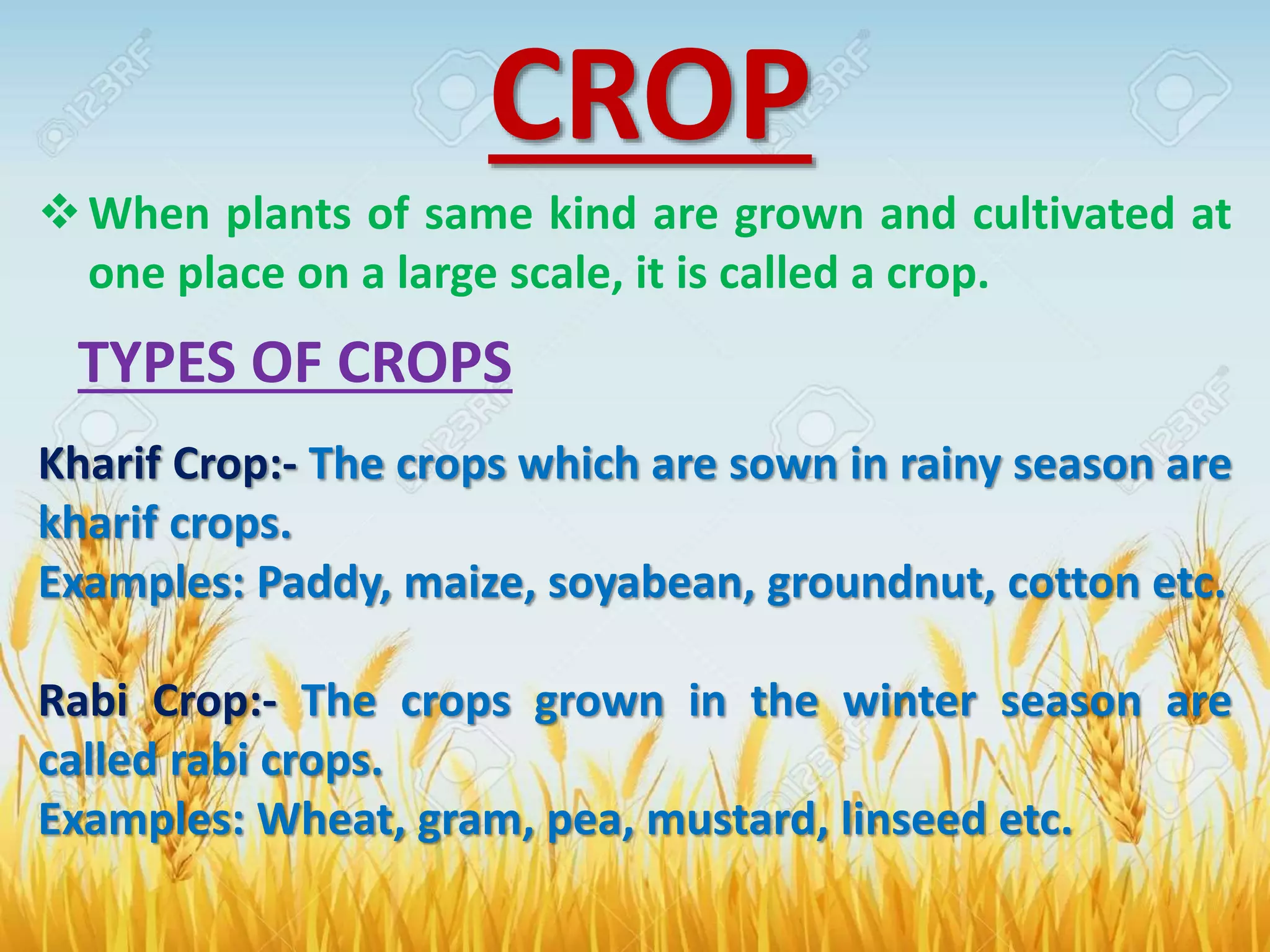 crop production and management class 8 science PPT
