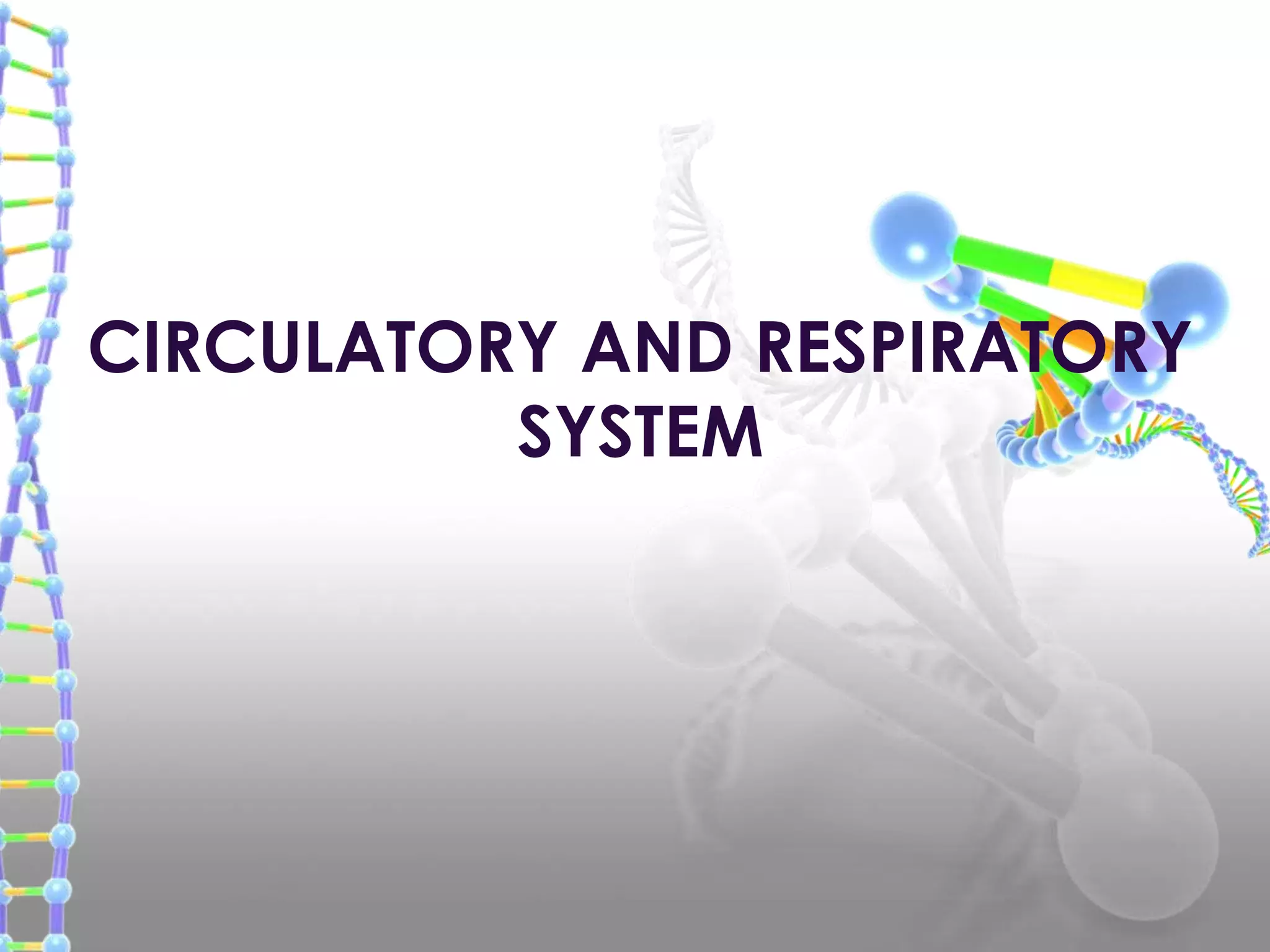 A Good Circulatory And Respiratory System | PPTX