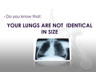 YOUR LUNGS ARE NOT IDENTICAL
IN SIZE
• Do you know that:
 