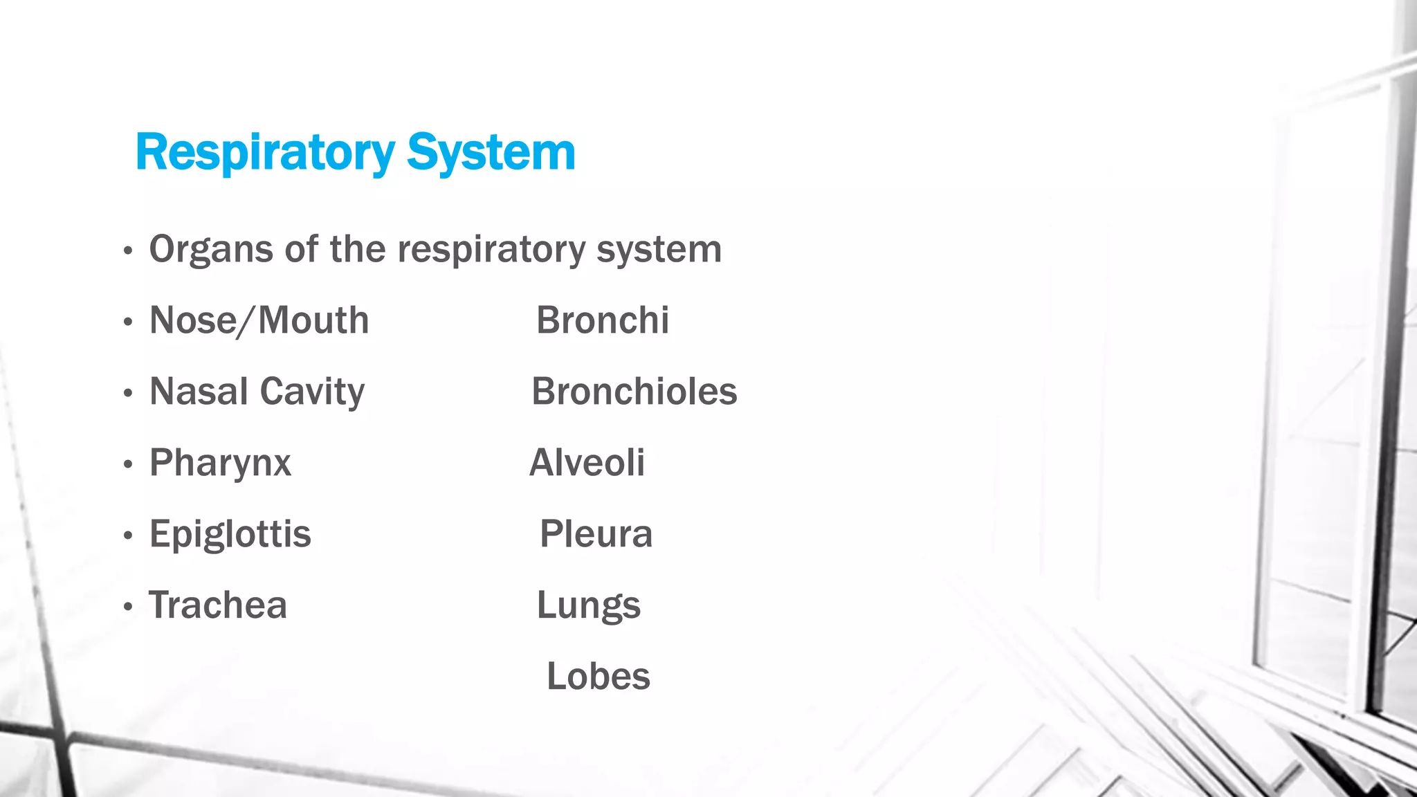 Respiratory System and Circulatory System | PPTX | Heart and ...