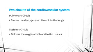 Two circuits of the cardiovascular system
Pulmonary Circuit
• Carries the deoxygenated blood into the lungs
Systemic Circuit
• Delivers the oxygenated blood to the tissues
 