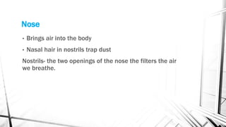 Nose
• Brings air into the body
• Nasal hair in nostrils trap dust
Nostrils- the two openings of the nose the filters the air
we breathe.
 