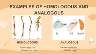 science presentation_111449.pptx