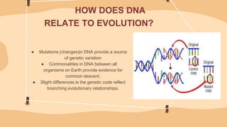science presentation_111449.pptx