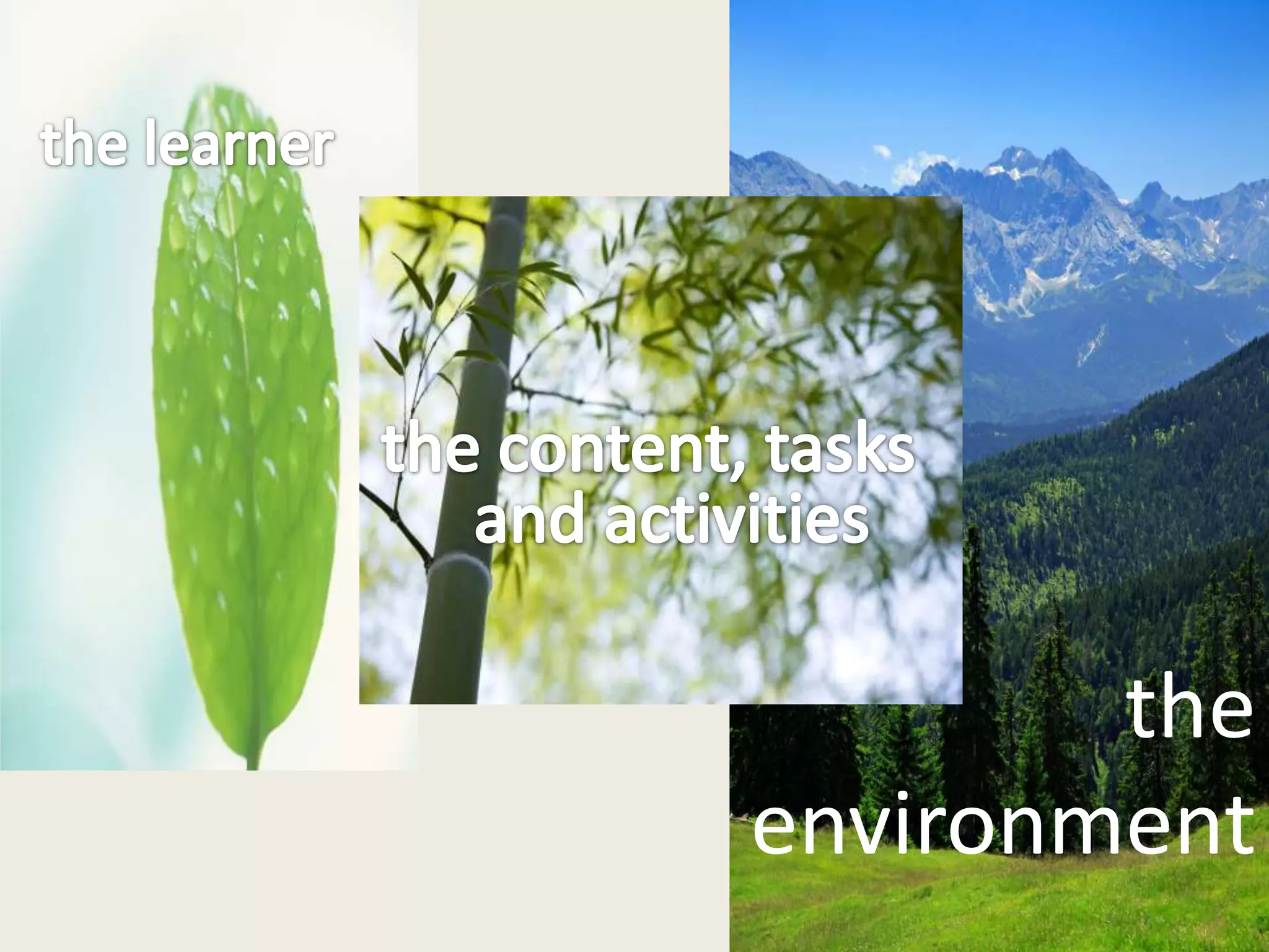 the
environment
 
