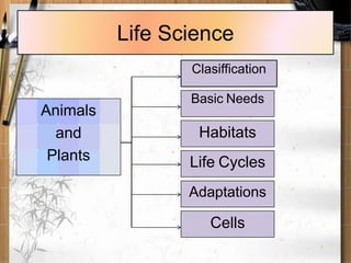 Life Science
Clasiffication
Basic Needs
Animals
and
Plants
Habitats
Life Cycles
Adaptations
Cells
 