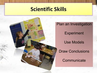 Scientific Skills
Plan an Investigation
Experiment
Use Models
Draw Conclusions
Communicate
 
