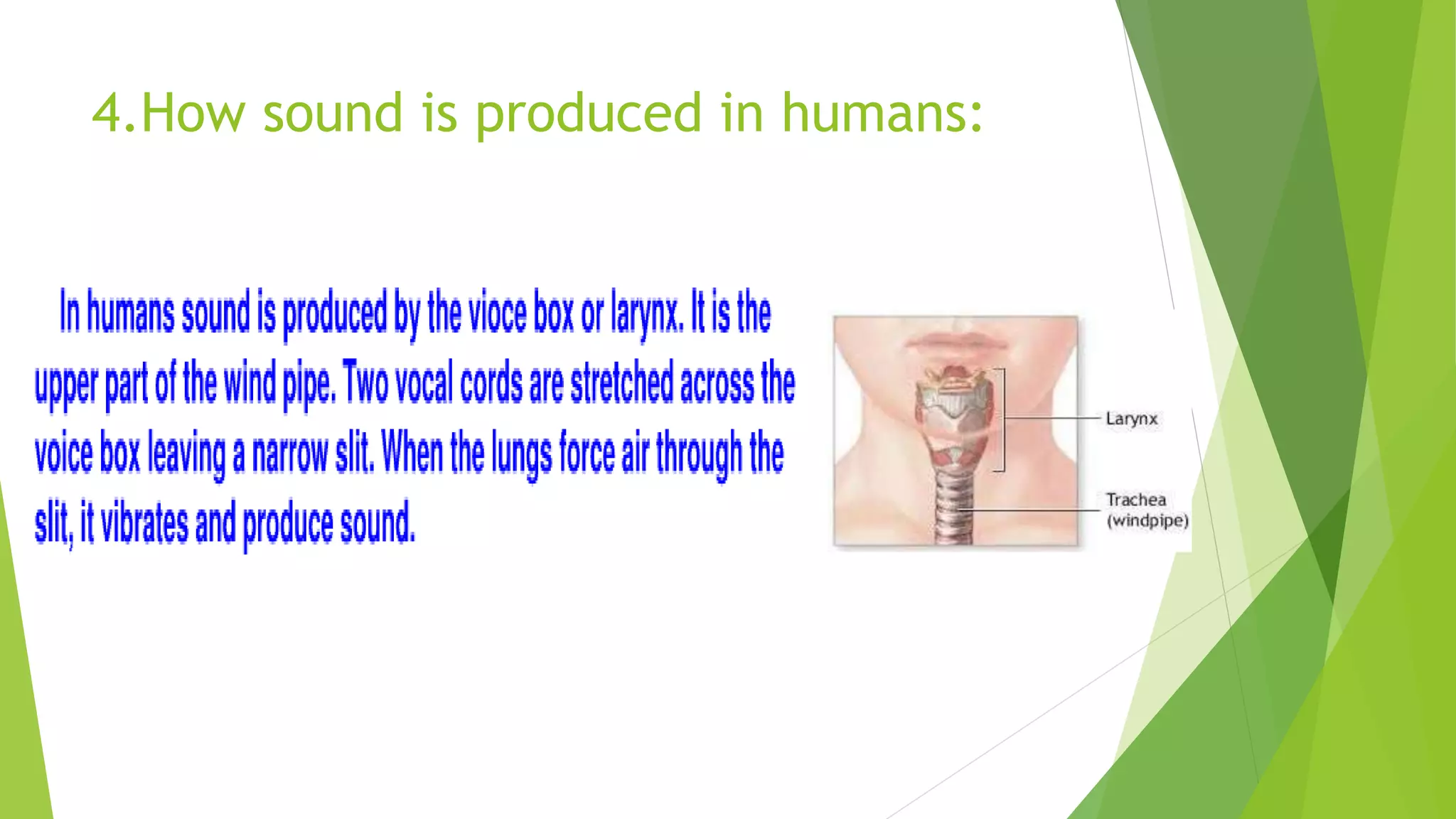 4.How sound is produced in humans:
 