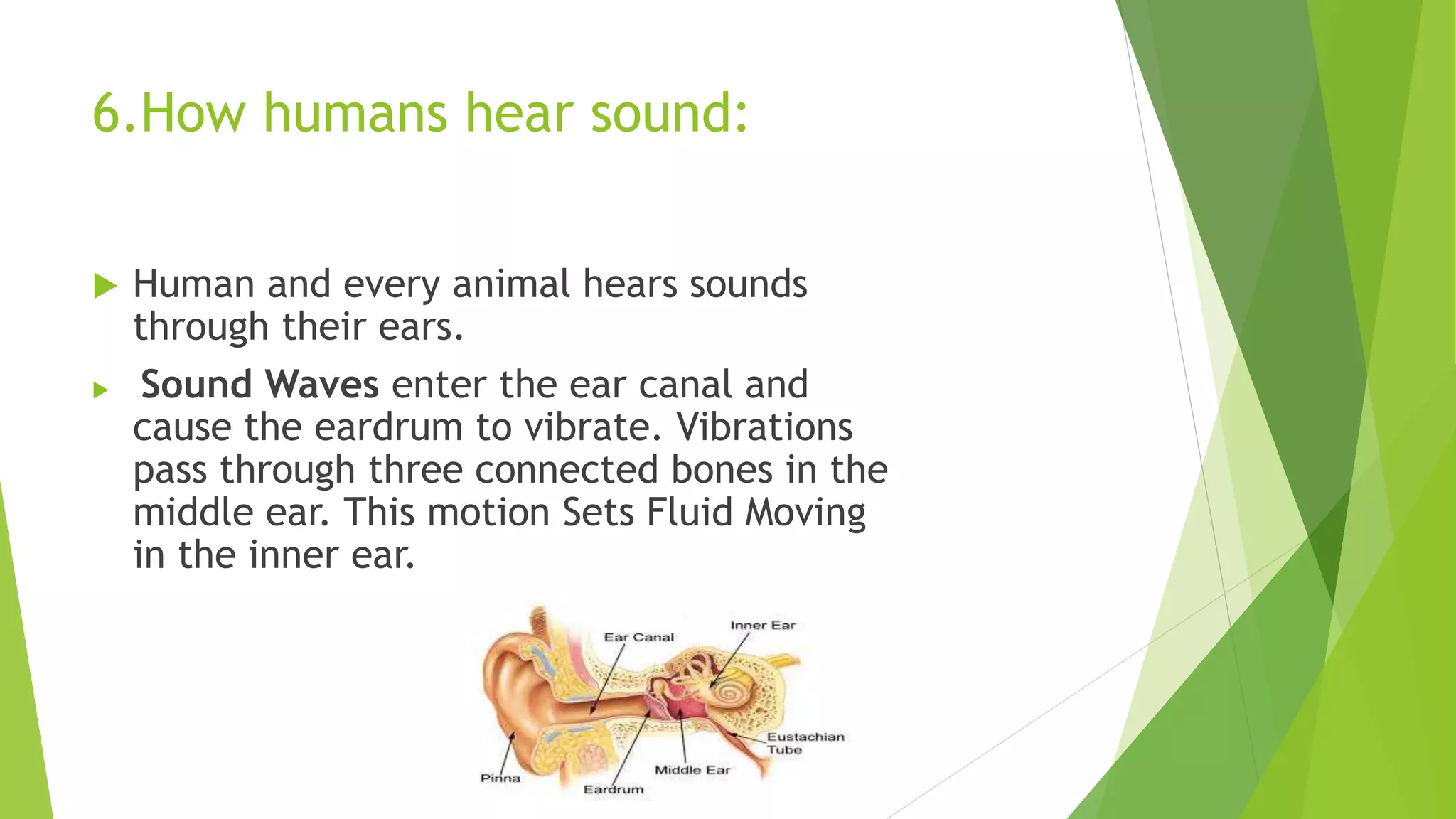 6.How humans hear sound:
 Human and every animal hears sounds
through their ears.
 Sound Waves enter the ear canal and
cause the eardrum to vibrate. Vibrations
pass through three connected bones in the
middle ear. This motion Sets Fluid Moving
in the inner ear.
 
