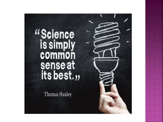 Science presentation primary level | PPTX