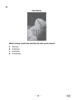 2929
39
Which of these would best describe the tube worms shown?
A Mammals
B Vertebrates
C Amphibians
D Invertebrates
Tube Worms
 