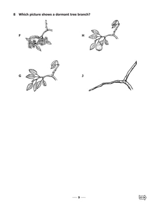 99
F H
G J
8 Which picture shows a dormant tree branch?
 