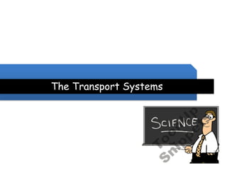 The Transport Systems
 