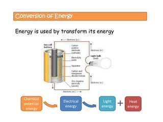 Science primary 6; Energy | PDF