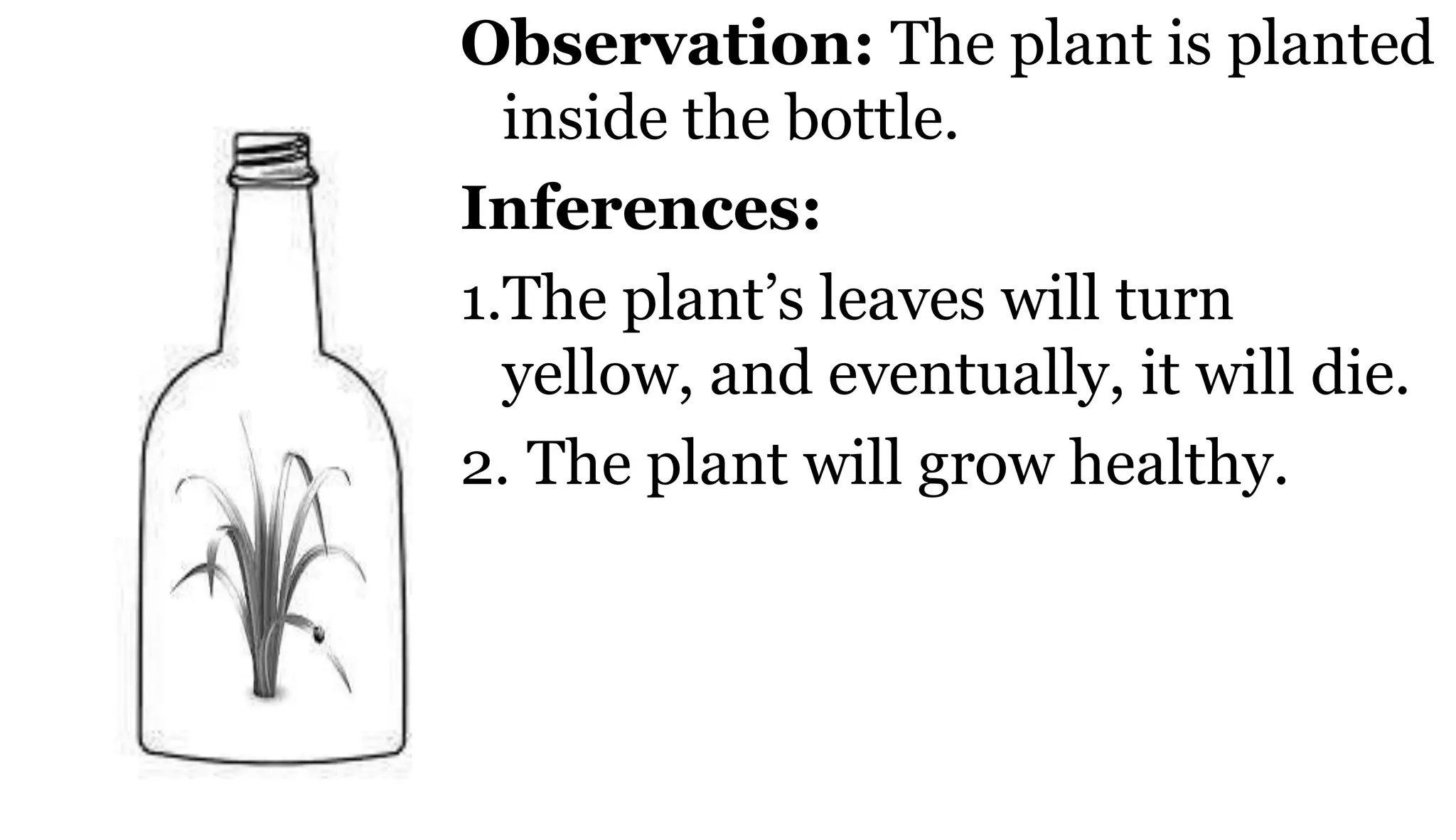Observation: The plant is planted
inside the bottle.
Inferences:
1.The plant’s leaves will turn
yellow, and eventually, it will die.
2. The plant will grow healthy.
 
