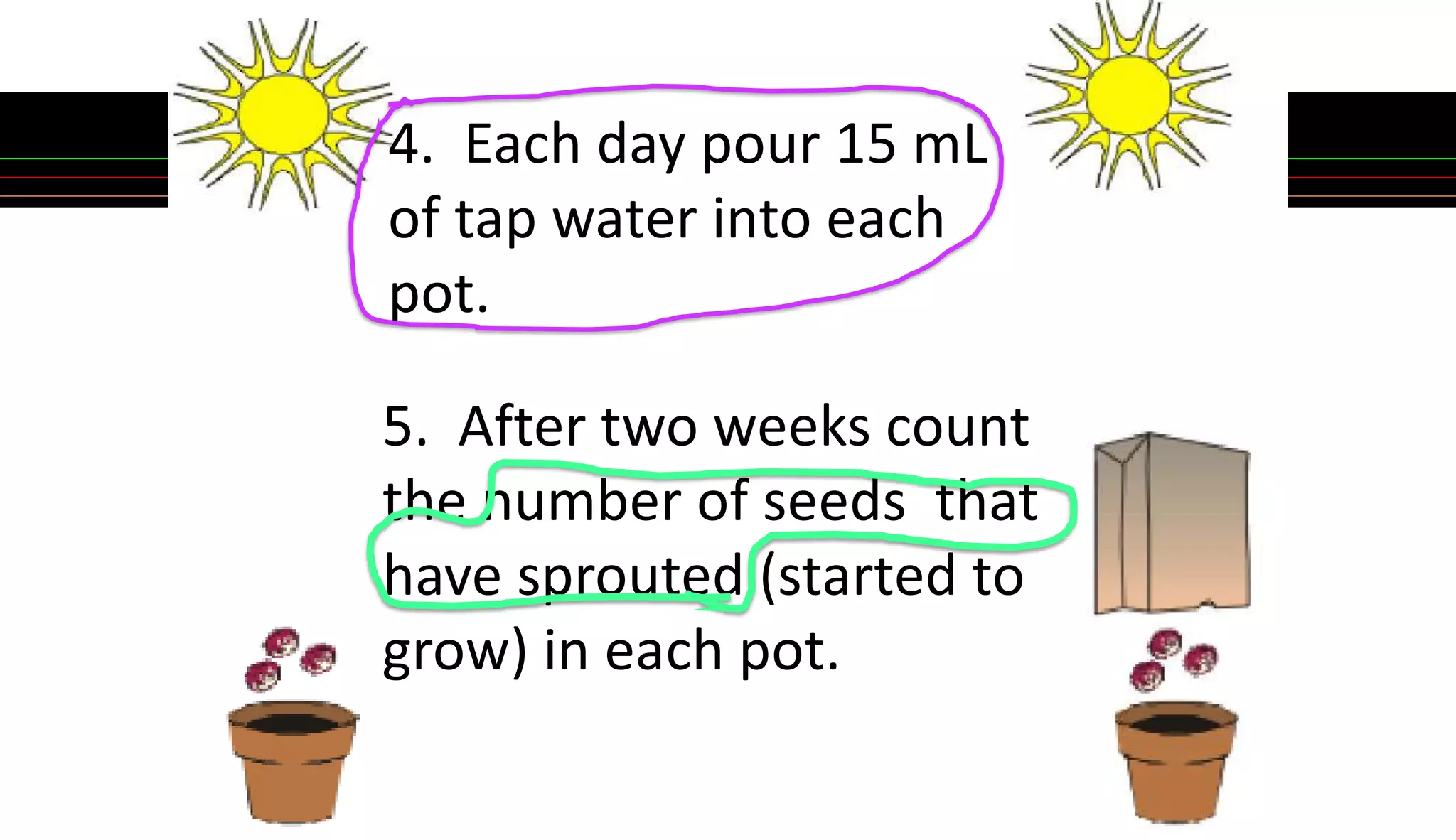 5. After two weeks count
the number of seeds that
have sprouted (started to
grow) in each pot.
4. Each day pour 15 mL
of tap water into each
pot.
 