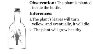 Observation: The plant is planted
inside the bottle.
Inferences:
1.The plant’s leaves will turn
yellow, and eventually, it will die.
2. The plant will grow healthy.
 