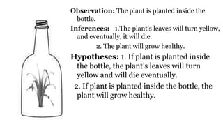 Observation: The plant is planted inside the
bottle.
Inferences: 1.The plant’s leaves will turn yellow,
and eventually, it will die.
2. The plant will grow healthy.
Hypotheses: 1. If plant is planted inside
the bottle, the plant’s leaves will turn
yellow and will die eventually.
2. If plant is planted inside the bottle, the
plant will grow healthy.
 