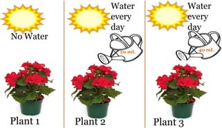 No Water
Plant 1 Plant 2 Plant 3
20 mL
Water
every
day
40 mL
Water
every
day
 