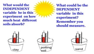 What would the
INDEPENDENT
variable be in this
experiment on how
much heat different
soils absorb?
What could be the
DEPENDENT
variable in this
experiment?
Remember you
should measure.
 