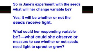 So in Jane’s experiment with the seeds
what will her change variable be?
Yes, it will be whether or not the
seeds receive light.
What could her responding variable
be?—what could she observe or
measure to see whether or not seeds
need light to sprout or grow?
 