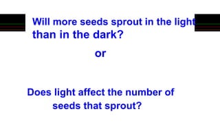 Will more seeds sprout in the light
than in the dark?
or
Does light affect the number of
seeds that sprout?
 