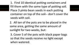 1. Find 10 identical potting containers and
fill them with the same type of potting soil.
Place 3 pinto bean seeds in each potting
container on top of the soil-- don’t cover the
seeds with soil.
2. All ten of the pots are to be placed in the
same area, getting the same amount of
sunlight for two weeks, but:
3. Cover 5 of the pots with black paper bags
so that the seeds receive no light except
when watered.
 