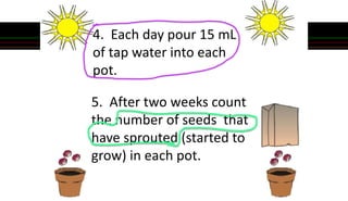 5. After two weeks count
the number of seeds that
have sprouted (started to
grow) in each pot.
4. Each day pour 15 mL
of tap water into each
pot.
 