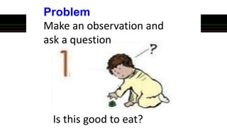 Problem
Make an observation and
ask a question
Is this good to eat?
 