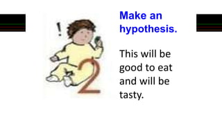 Make an
hypothesis.
This will be
good to eat
and will be
tasty.
 