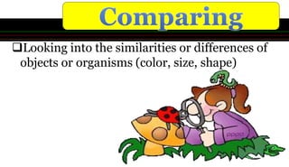 Looking into the similarities or differences of
objects or organisms (color, size, shape)
 