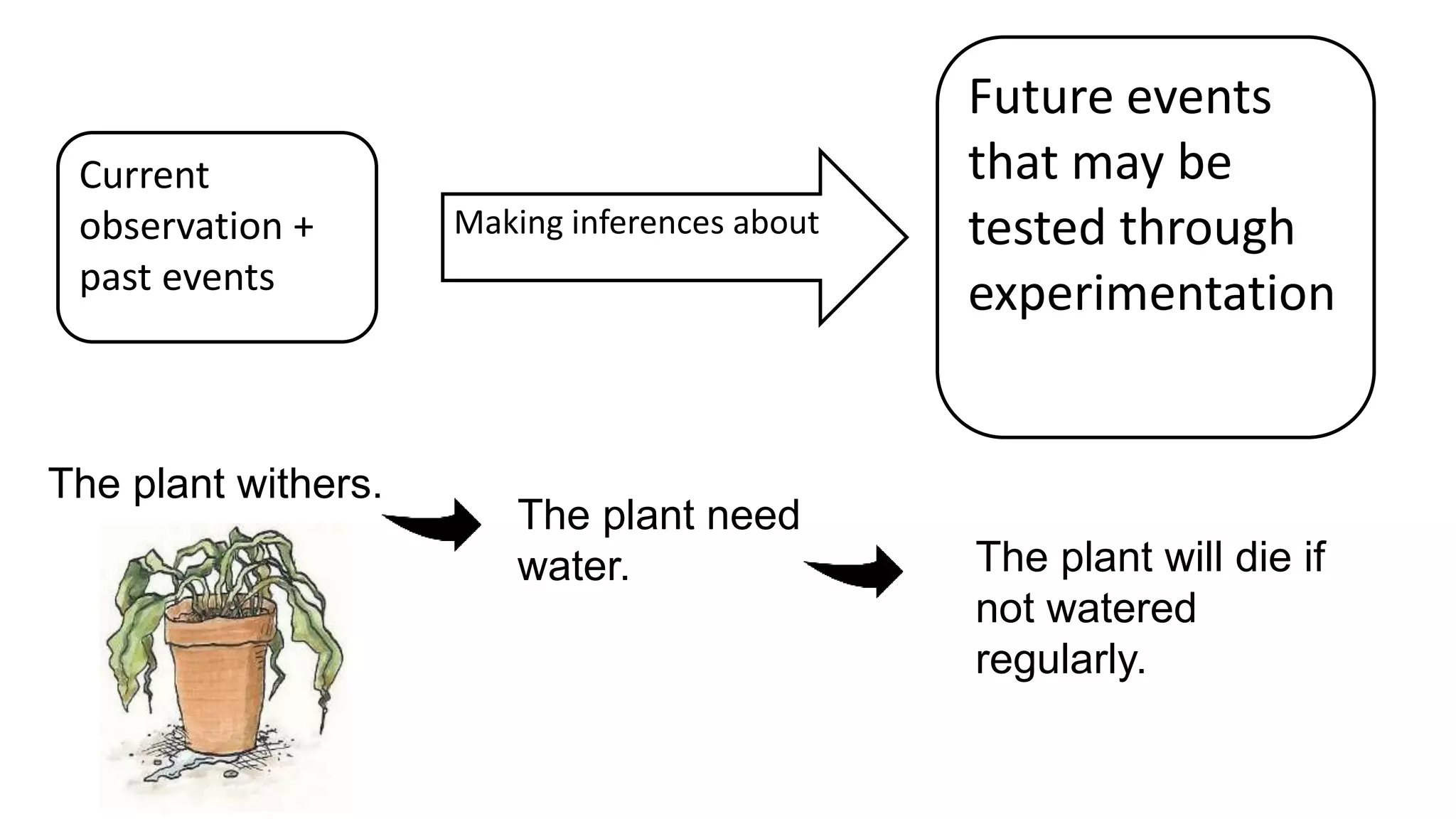 Current
observation +
past events
Making inferences about
Future events
that may be
tested through
experimentation
The plant withers.
The plant need
water. The plant will die if
not watered
regularly.
 