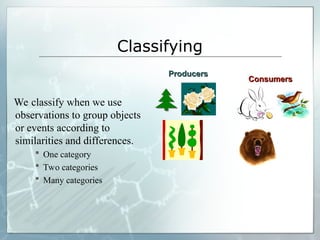 Classifying
We classify when we use
observations to group objects
or events according to
similarities and differences.
 One category
 Two categories
 Many categories
Producers
Producers
Consumers
Consumers
 