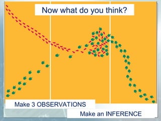 Now what do you think?
Make 3 OBSERVATIONS
Make an INFERENCE
 