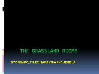    THE GRASSLAND BIOMEBY OPEMIPO, TYLER, SAMANTHA AND JEMEILA 