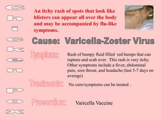 An itchy rash of spots that look like
blisters can appear all over the body
and may be accompanied by flu-like
symptoms.
Rash of bumpy fluid filled red bumps that can
rupture and scab over. This rash is very itchy.
Other symptoms include a fever, abdominal
pain, sore throat, and headache (last 5-7 days on
average)
No cure/symptoms can be treated .
Varicella Vaccine
 